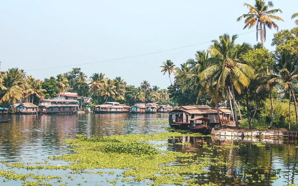 65  Alleppey Day Cruise Booking for Learn