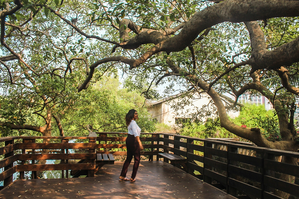 Mangrove Boardwalk Panjim - Instagrammable Places in Goa