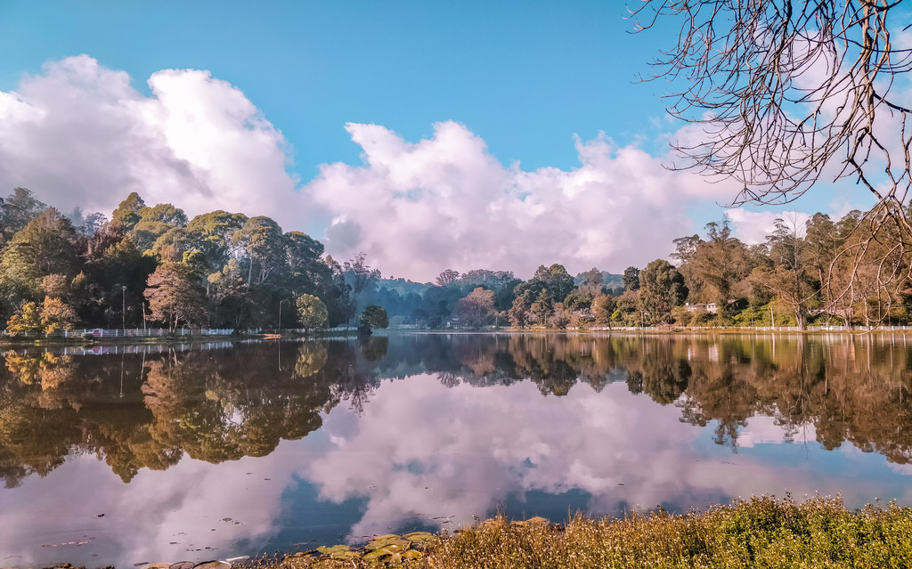 Best Places to Visit in Kodaikanal in 2 Days – A Complete Guide