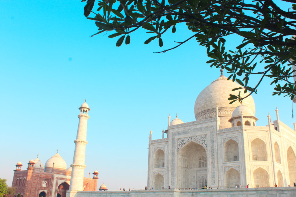 Taj Mahal View