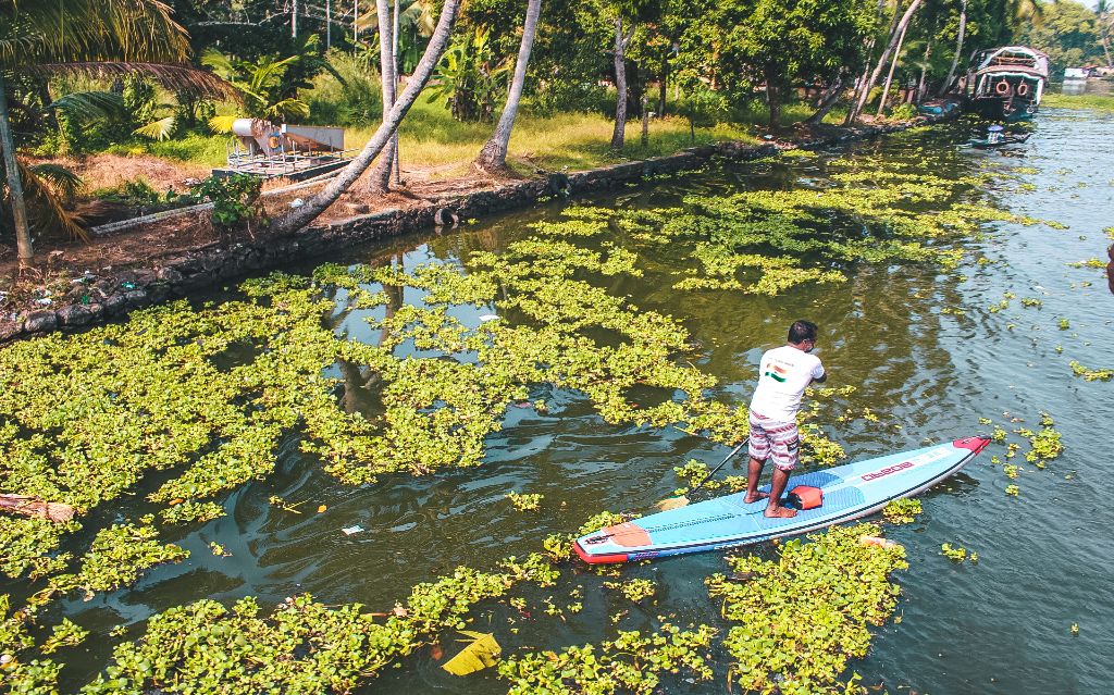 Kayaking in Alleppey backwaters, Alleppey, Kerala, India