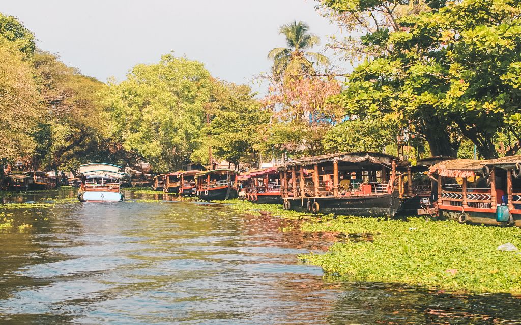 Shikara boats in the Alleppey backwaters, Alleppey Kerala, India