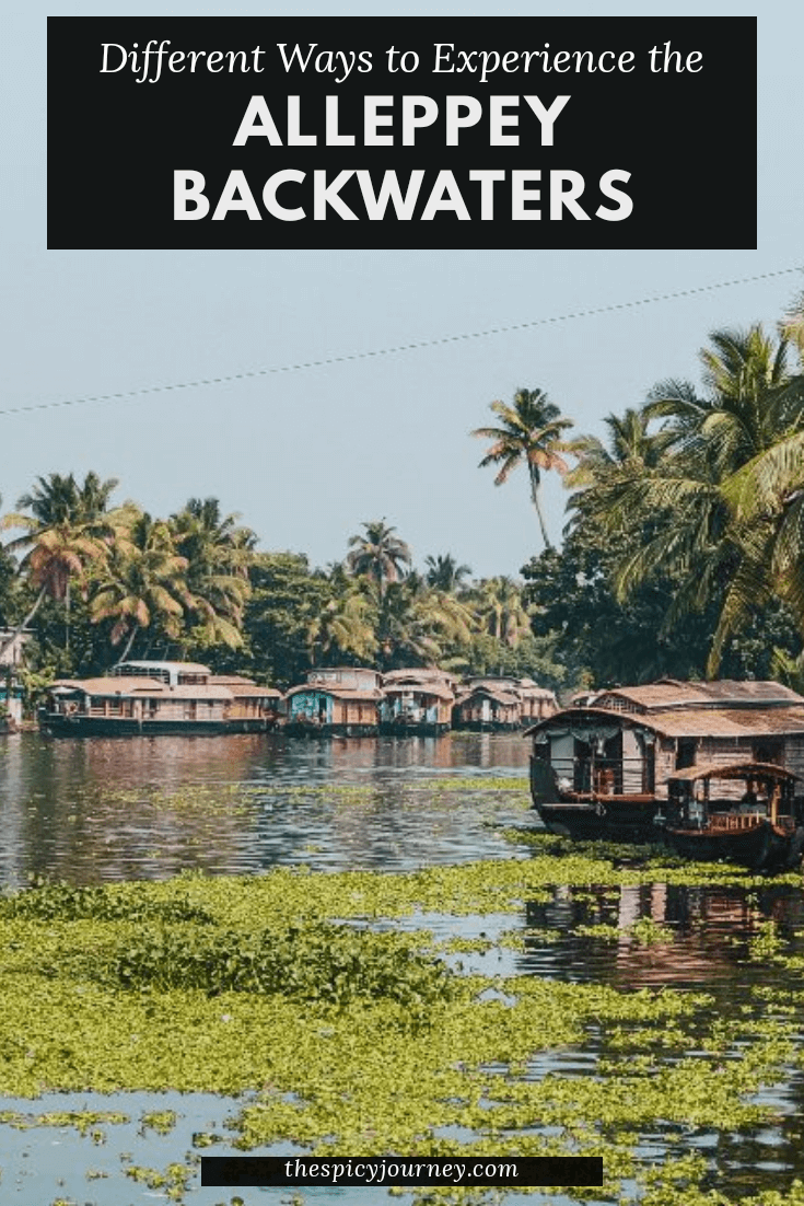 alleppey-backwaters-pinterest-graphic-