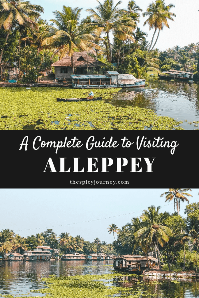 Alleppey backwaters pinterest graphic