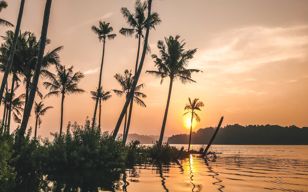 Sunrise at Ashtamudi lake, Munroe island Kollam