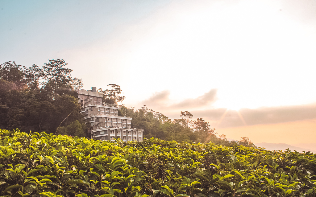 Chandys Wind Woods Hotel - Hotels in Munnar overlooking the Munnar Tea Plantations and Munnar Hills