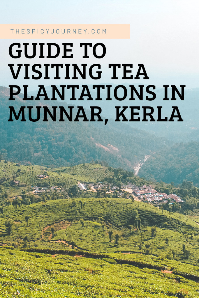 Munnar Tea Plantations Pinterest Graphic