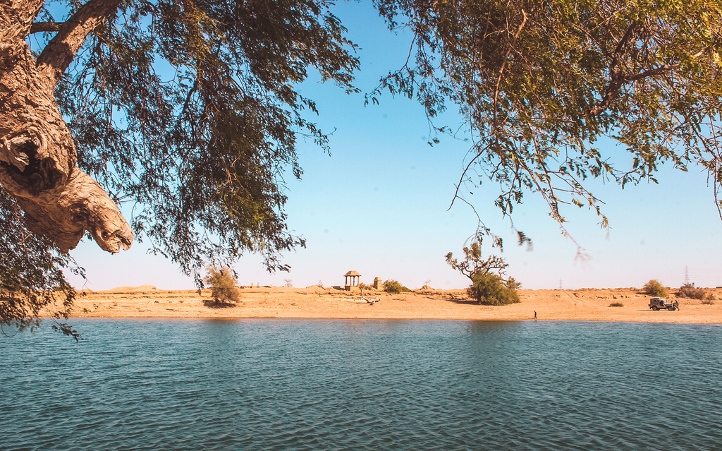 An oasis inside the desert in Jaisalmer