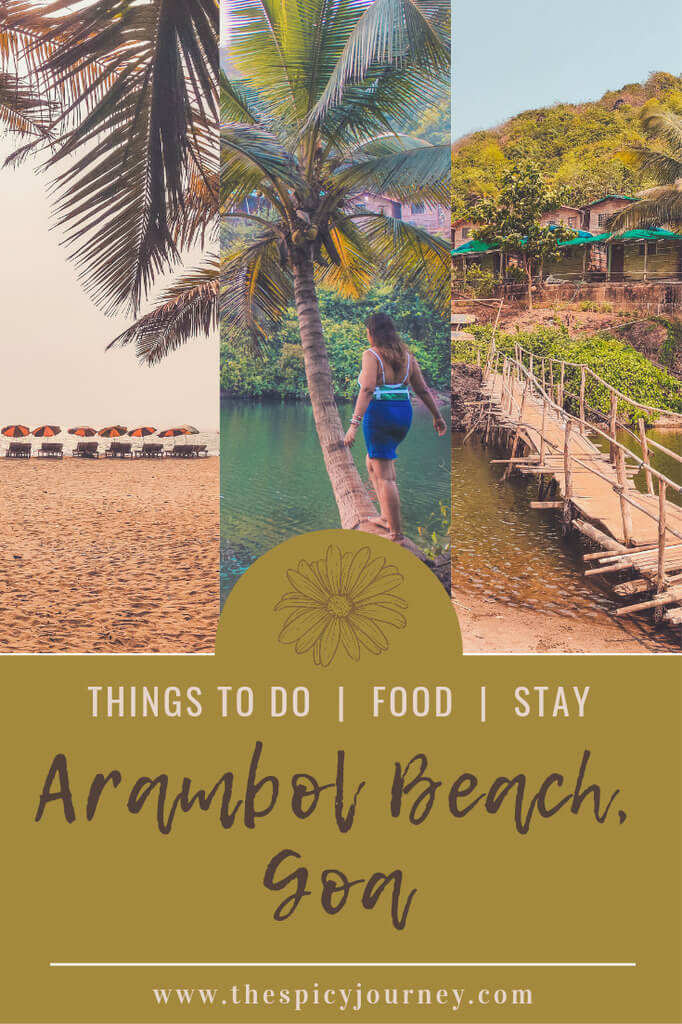 Pinterest Graphic for Travel Guide of Things to do in Arambol Beach, Goa