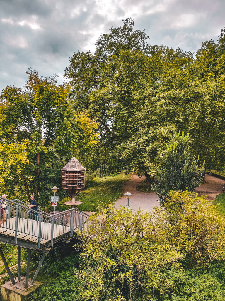 Things to do in Tubingen in One Day - Neckarinsel Garden, Tuebingen, Germany