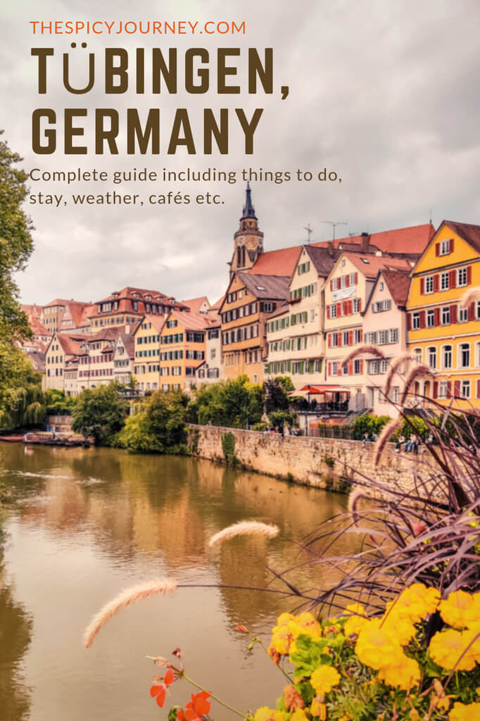 Pinterest graphic for things to do in Tubingen in one day