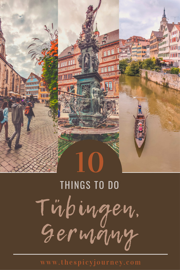 Pinterest graphic for things to do in Tubingen in one day