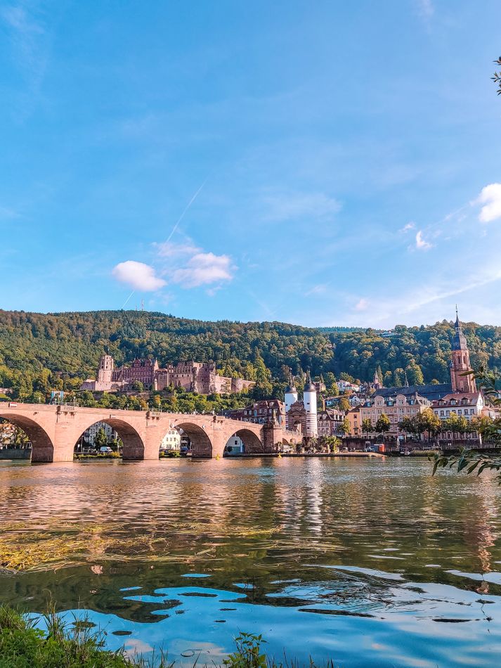 Neckarwiese - Sunset spot in Heidelberg Germany