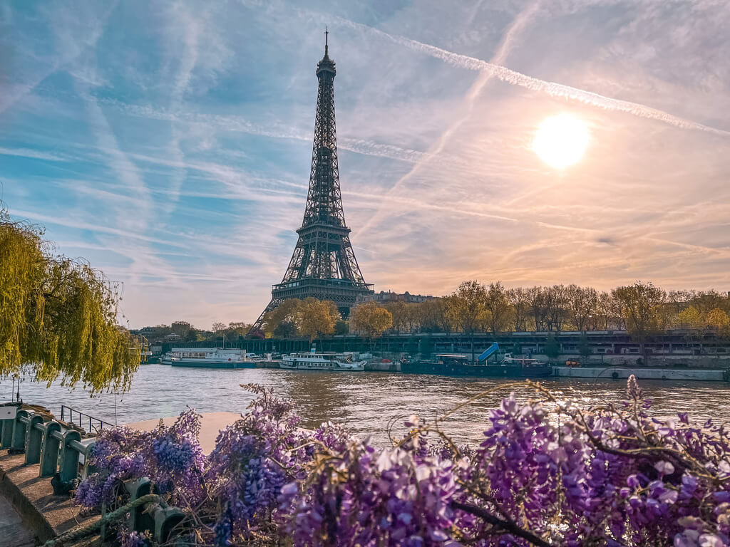 Things to do in Paris in spring time - A travel guide - visit the Eiffel tower and see the cherry blossoms in Paris and wisteria blooms