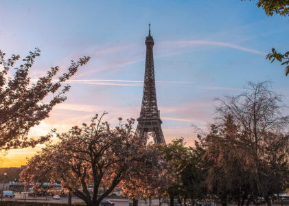 Spring in Paris : 11 Things to do & Guide to Cherry Blossoms in Paris