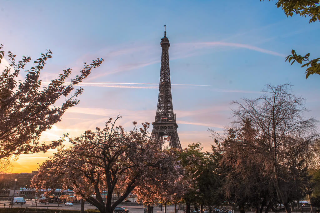 Things to do in Paris in Spring travel guide and where to find cherry blossoms in Paris, France