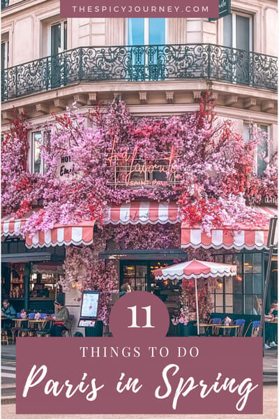 Things to do in springtime in Paris - travel blog post - pinterest graphic